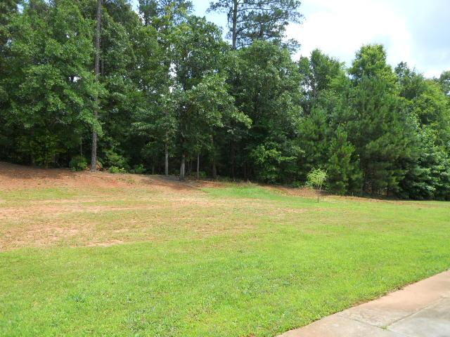 332 Jenny Ann Ct, Hampton, GA 30228 photo 16