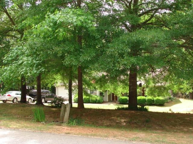 2240 Maris Way, Monroe, GA 30655 photo 14