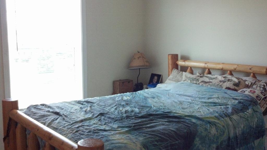 151 Celestial Run, Winder, GA 30680 photo 15