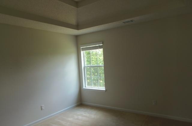 199 Kyndal Dr, Hampton, GA 30228 photo 12