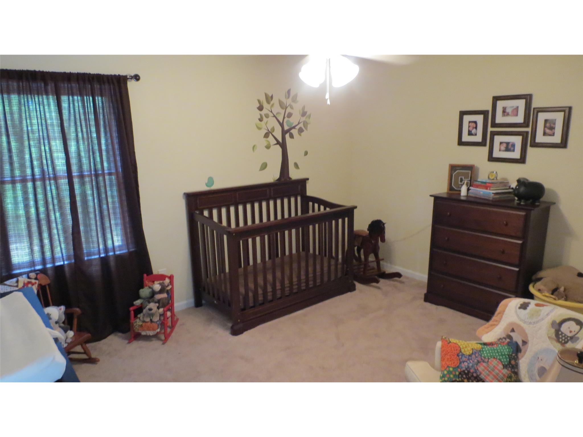 45 Lowry Way, Kingston, GA 30145 photo 21
