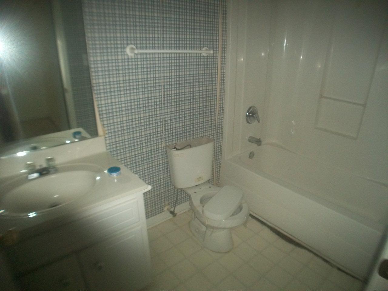 1443 Trafalgar Ct, Hampton, GA 30228 photo 15