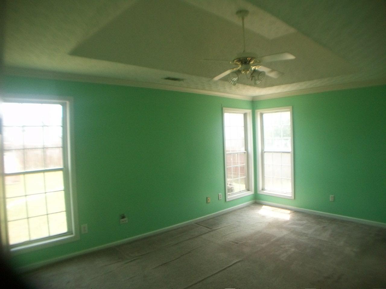 1443 Trafalgar Ct, Hampton, GA 30228 photo 9