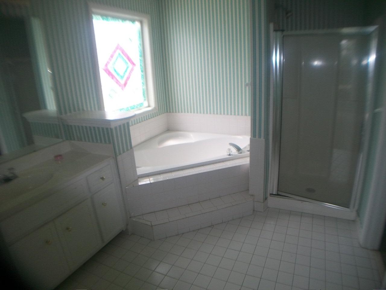 1443 Trafalgar Ct, Hampton, GA 30228 photo 11