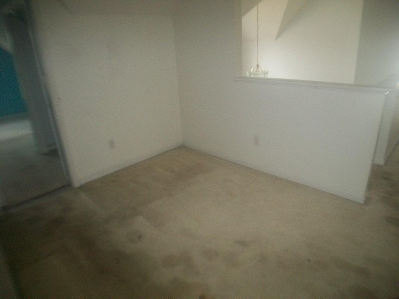 1443 Trafalgar Ct, Hampton, GA 30228 photo 16