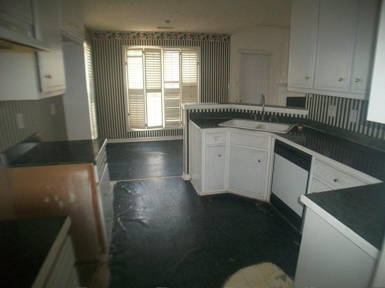 1443 Trafalgar Ct, Hampton, GA 30228 photo 5