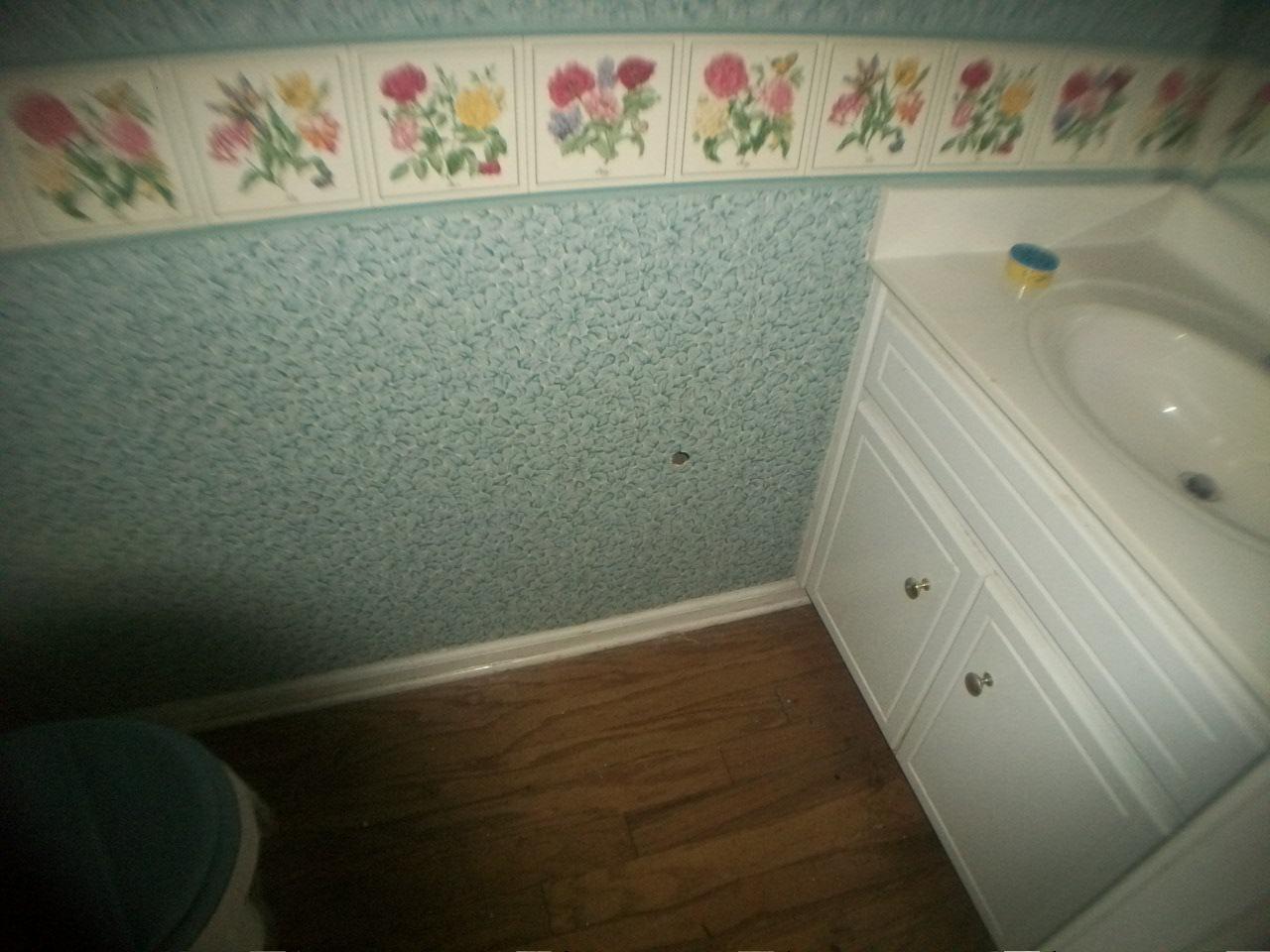 1443 Trafalgar Ct, Hampton, GA 30228 photo 8