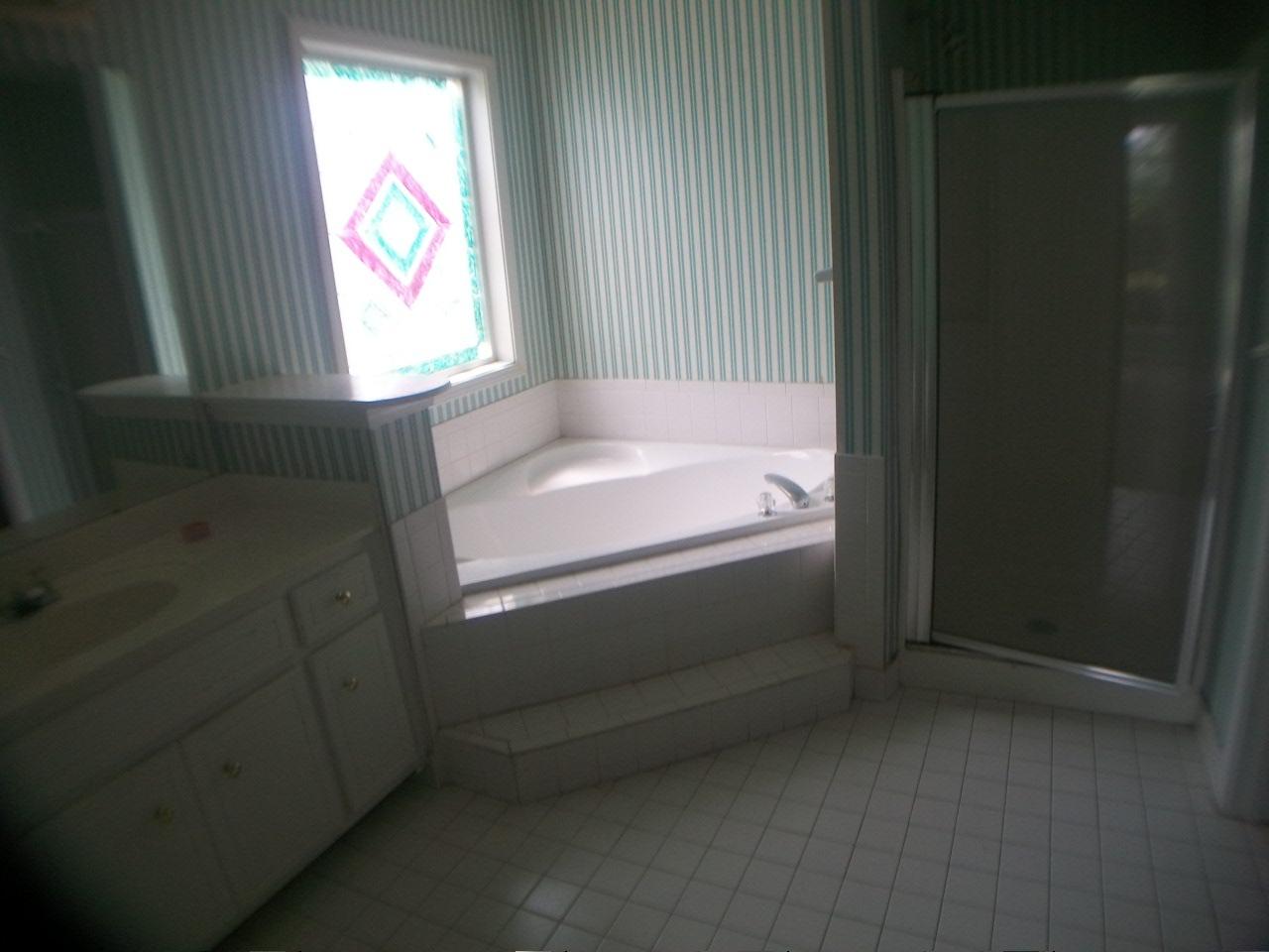 1443 Trafalgar Ct, Hampton, GA 30228 photo 10