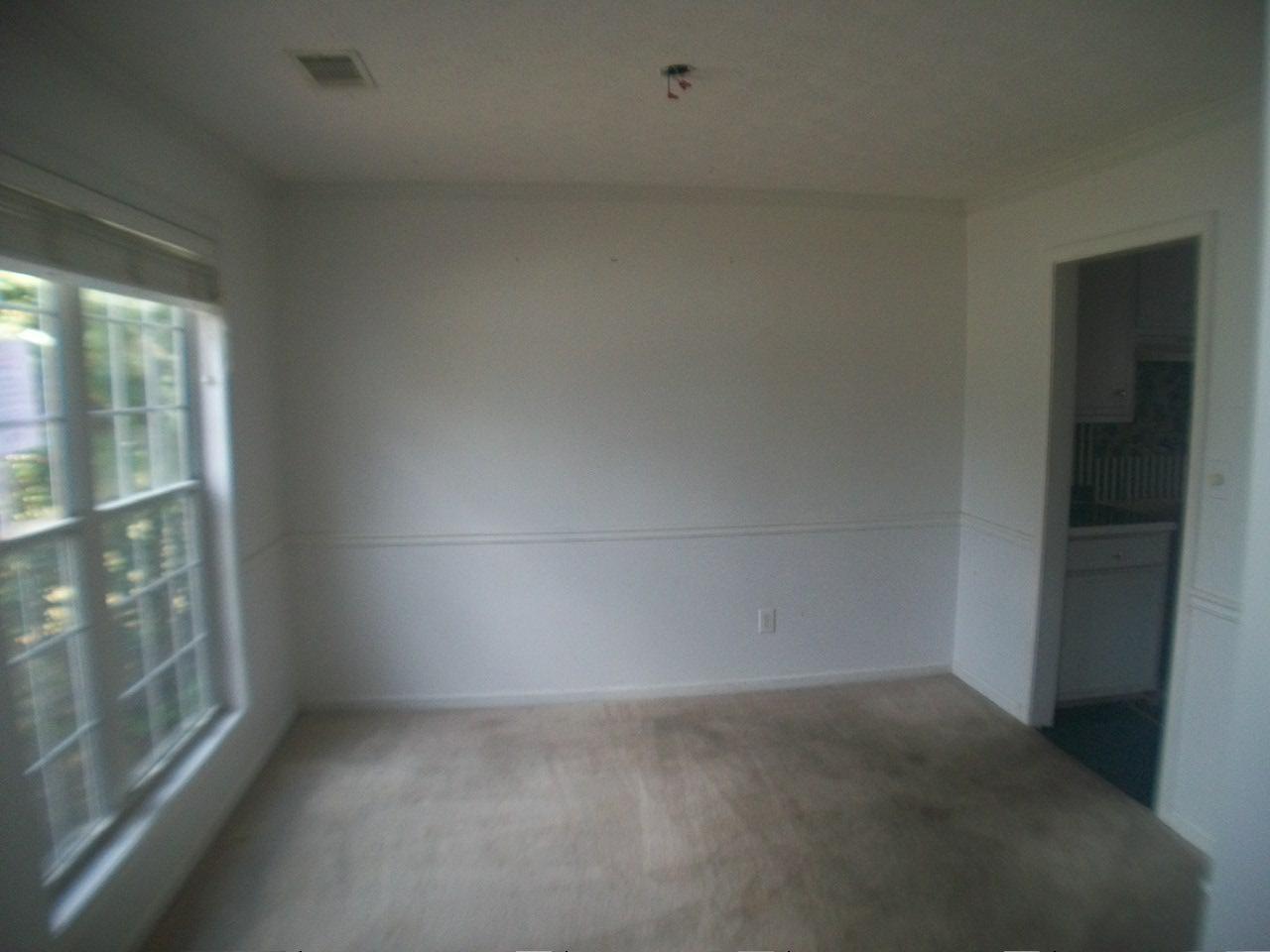 1443 Trafalgar Ct, Hampton, GA 30228 photo 7