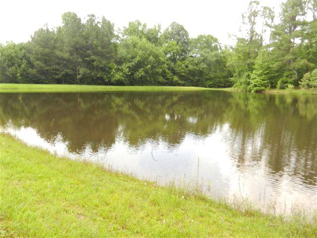 1527 Mccrary Rd, Molena, GA 30258 photo 9
