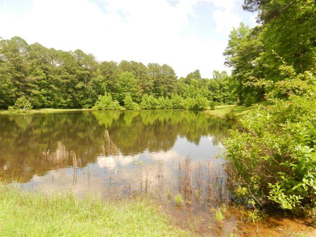1527 Mccrary Rd, Molena, GA 30258 photo 11
