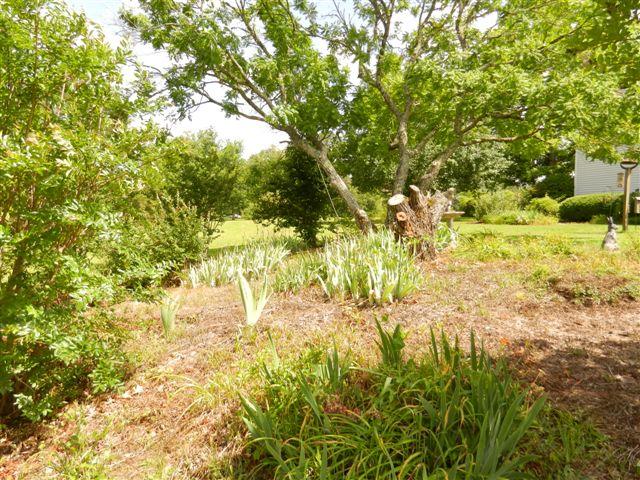 1527 Mccrary Rd, Molena, GA 30258 photo 4