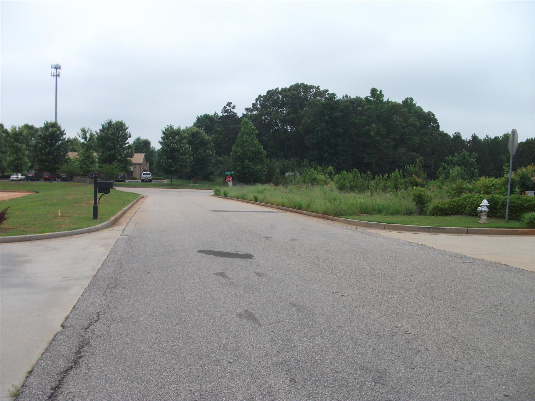 5418 Progress Ct, Braselton, GA 30517 photo 3