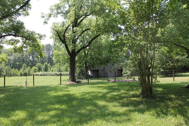1591 Shepherd Rd, Madison, GA 30650 photo 5