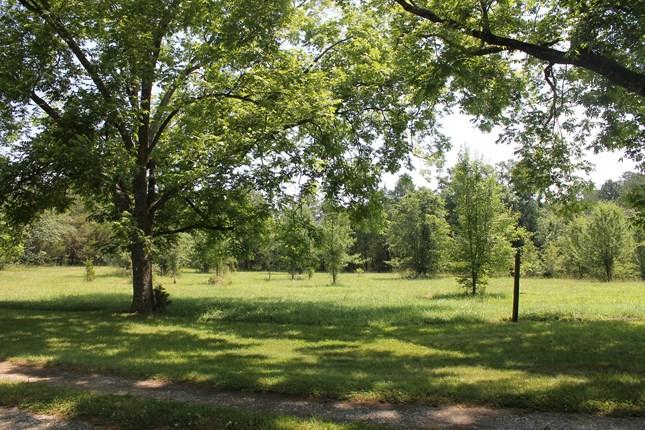 1591 Shepherd Rd, Madison, GA 30650 photo 3