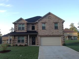 12303 Centerra Dr, Hampton, GA 30228 photo 1