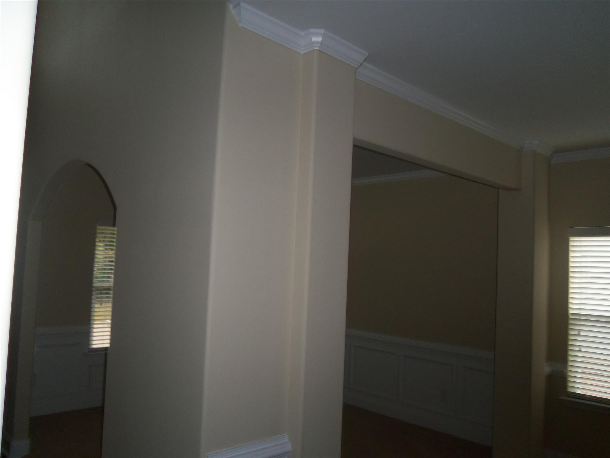 12303 Centerra Dr, Hampton, GA 30228 photo 17