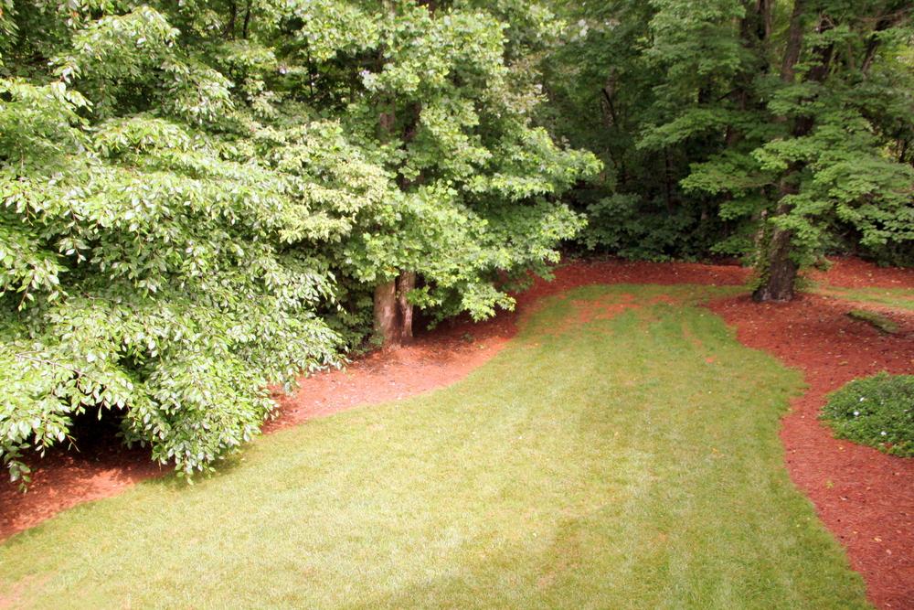 7660 Paces Ln, Gainesville, GA 30506 photo 4