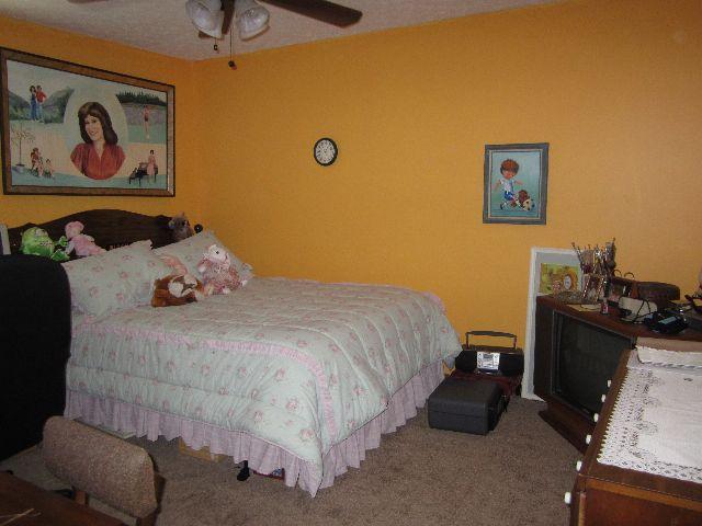11 Carroll Ln, Temple, GA 30179 photo 13