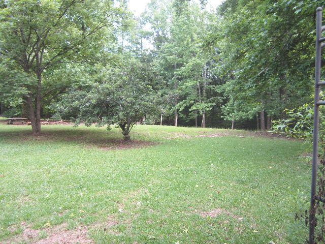 11 Carroll Ln, Temple, GA 30179 photo 23