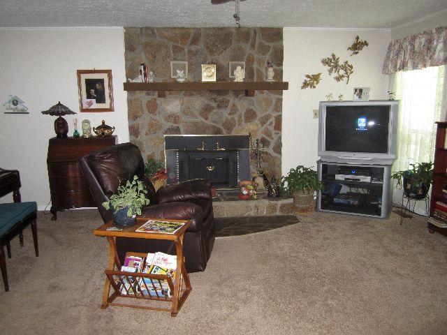 11 Carroll Ln, Temple, GA 30179 photo 8