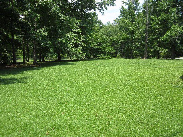 11 Carroll Ln, Temple, GA 30179 photo 24
