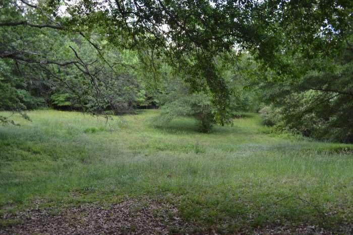 68 Thompson Morris Rd, Newnan, GA 30263 photo 4