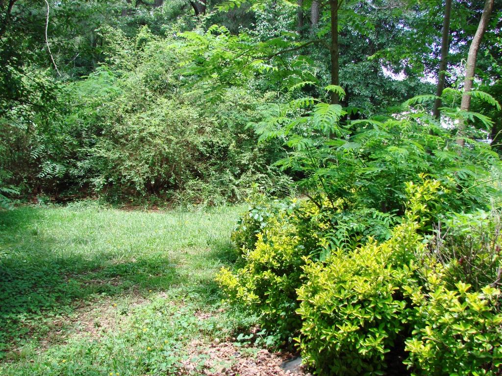 349 Skyline Dr, Toccoa, GA 30577 photo 2