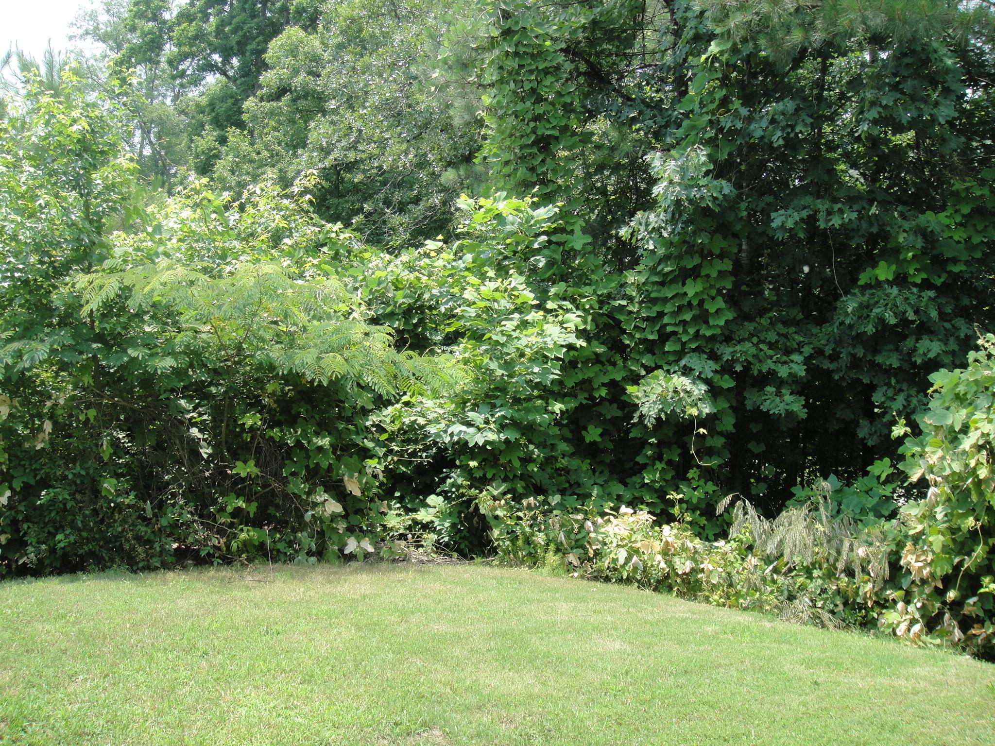 717 Tomahawk Pl, Austell, GA 30168 photo 7
