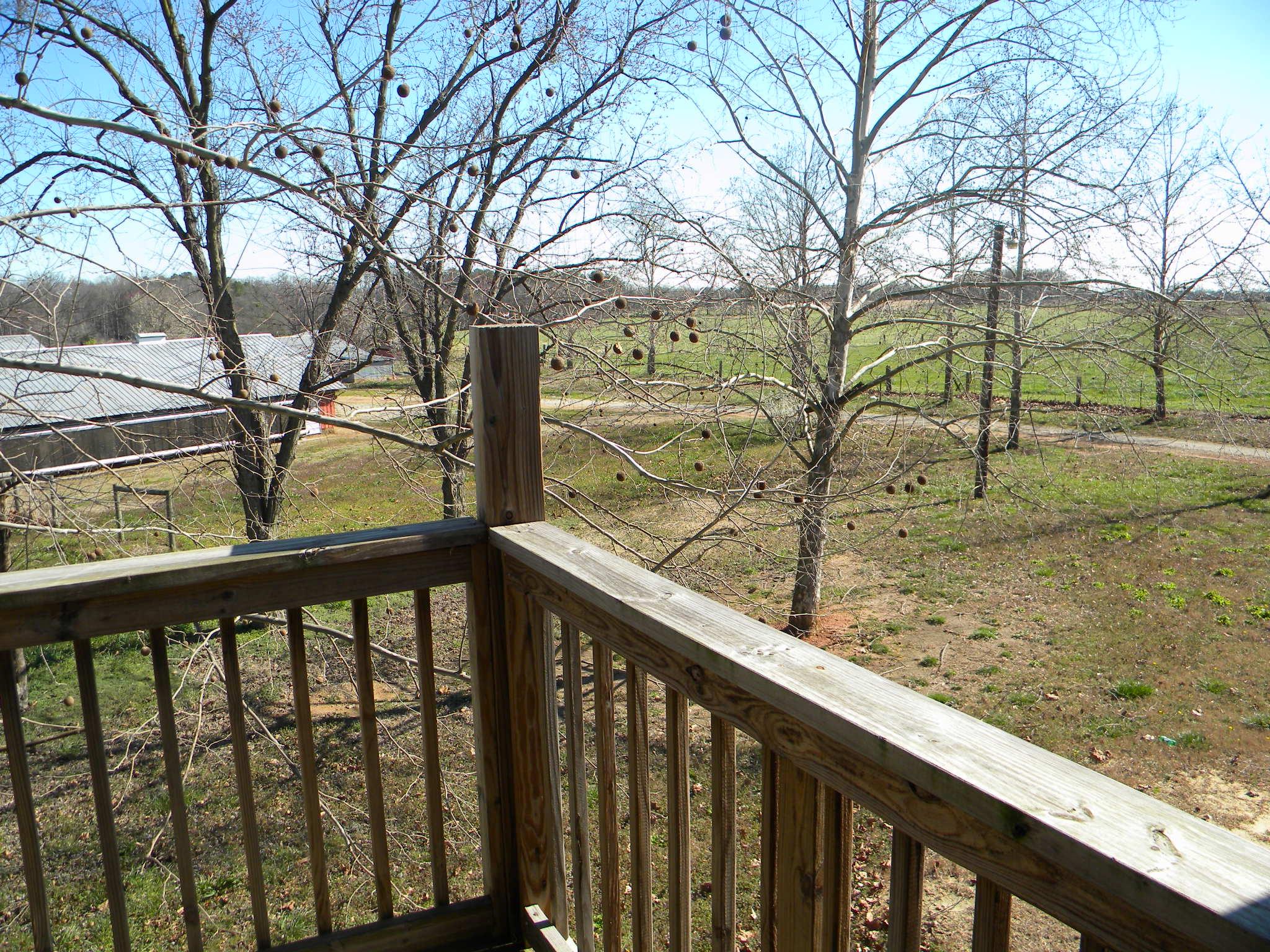 4485 Highway 98, Comer, GA 30629 photo 17