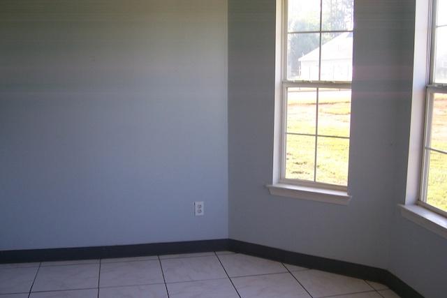 315 Jenny Ann Ct, Hampton, GA 30228 photo 8