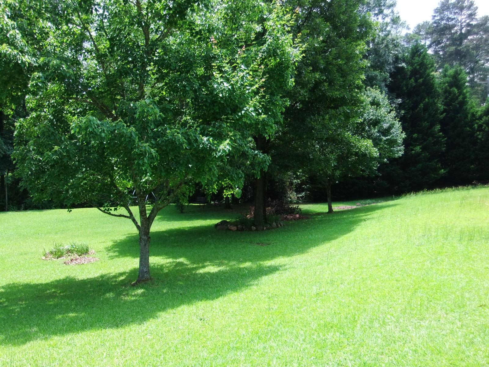 11781 Brown Bridge Rd, Covington, GA 30016 photo 10