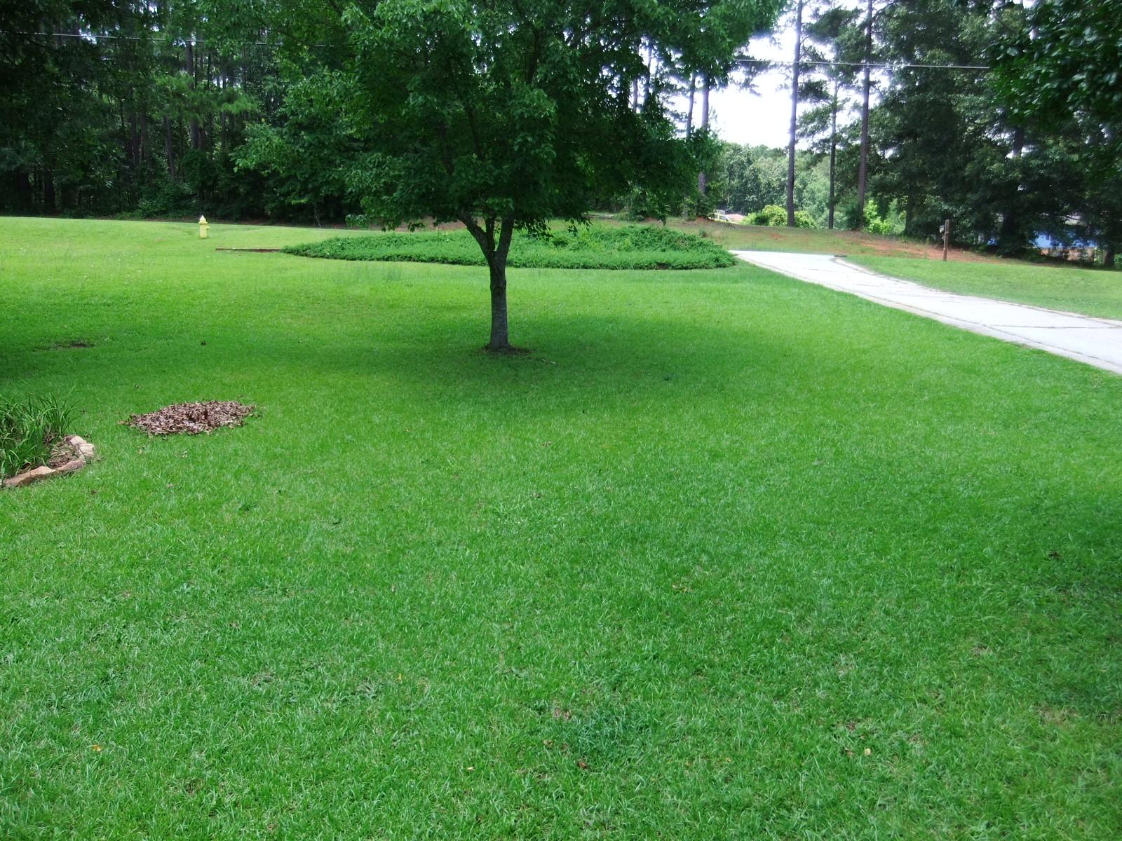 11781 Brown Bridge Rd, Covington, GA 30016 photo 11