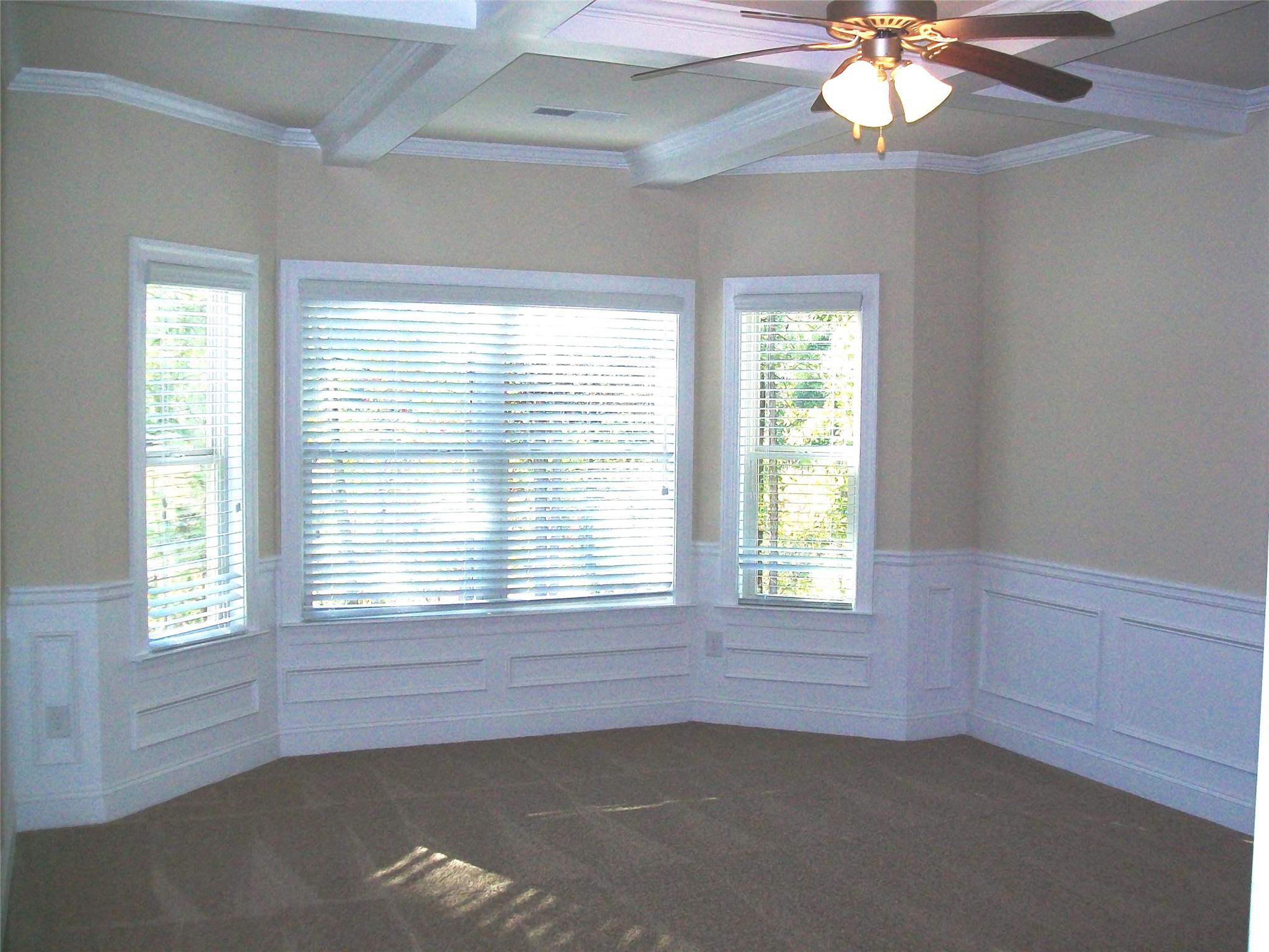 921 Damson Trl, Hampton, GA 30228 photo 12