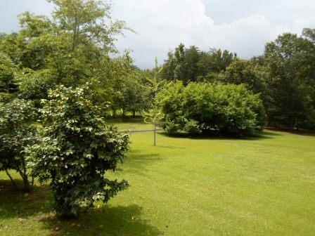 613 Bowen Hill Rd, Haddock, GA 31033 photo 10