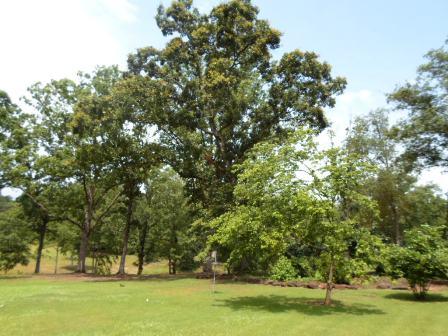 613 Bowen Hill Rd, Haddock, GA 31033 photo 18