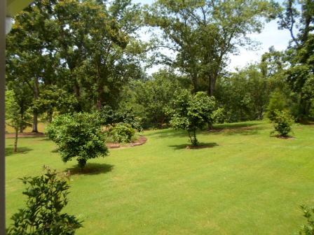 613 Bowen Hill Rd, Haddock, GA 31033 photo 16