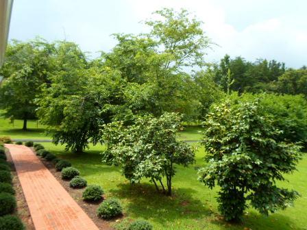 613 Bowen Hill Rd, Haddock, GA 31033 photo 17