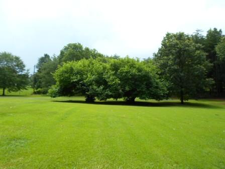 613 Bowen Hill Rd, Haddock, GA 31033 photo 21