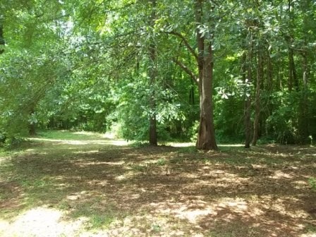 127 Collier Rd, Jackson, GA 30233 photo 4