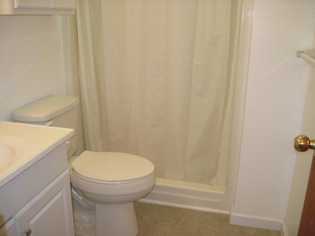 294 Timber Ridge Ln, Colbert, GA 30628 photo 12