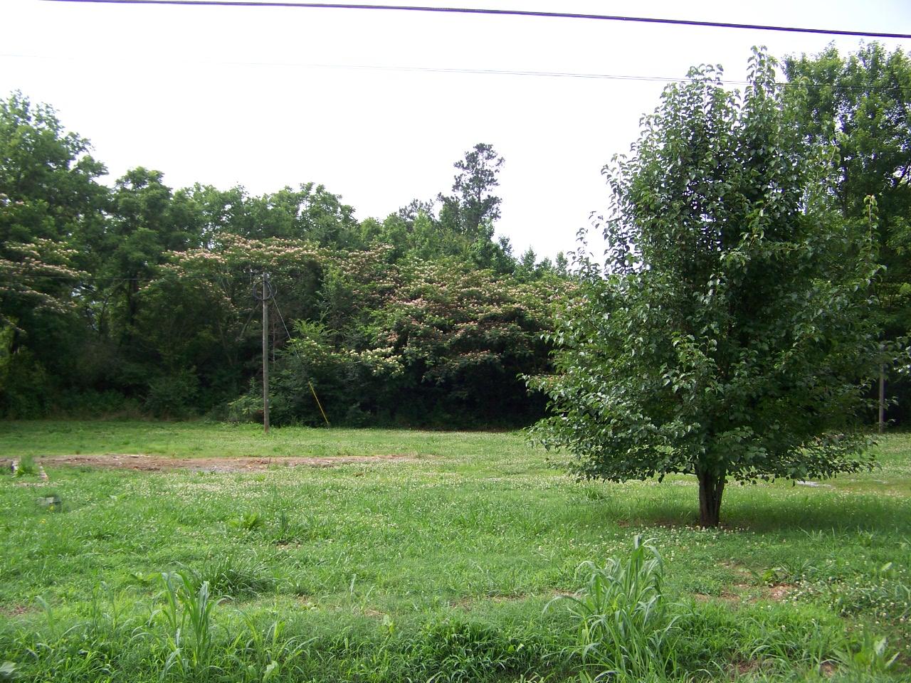 406 Gaines Loop Rd, Rome, GA 30161 photo 1