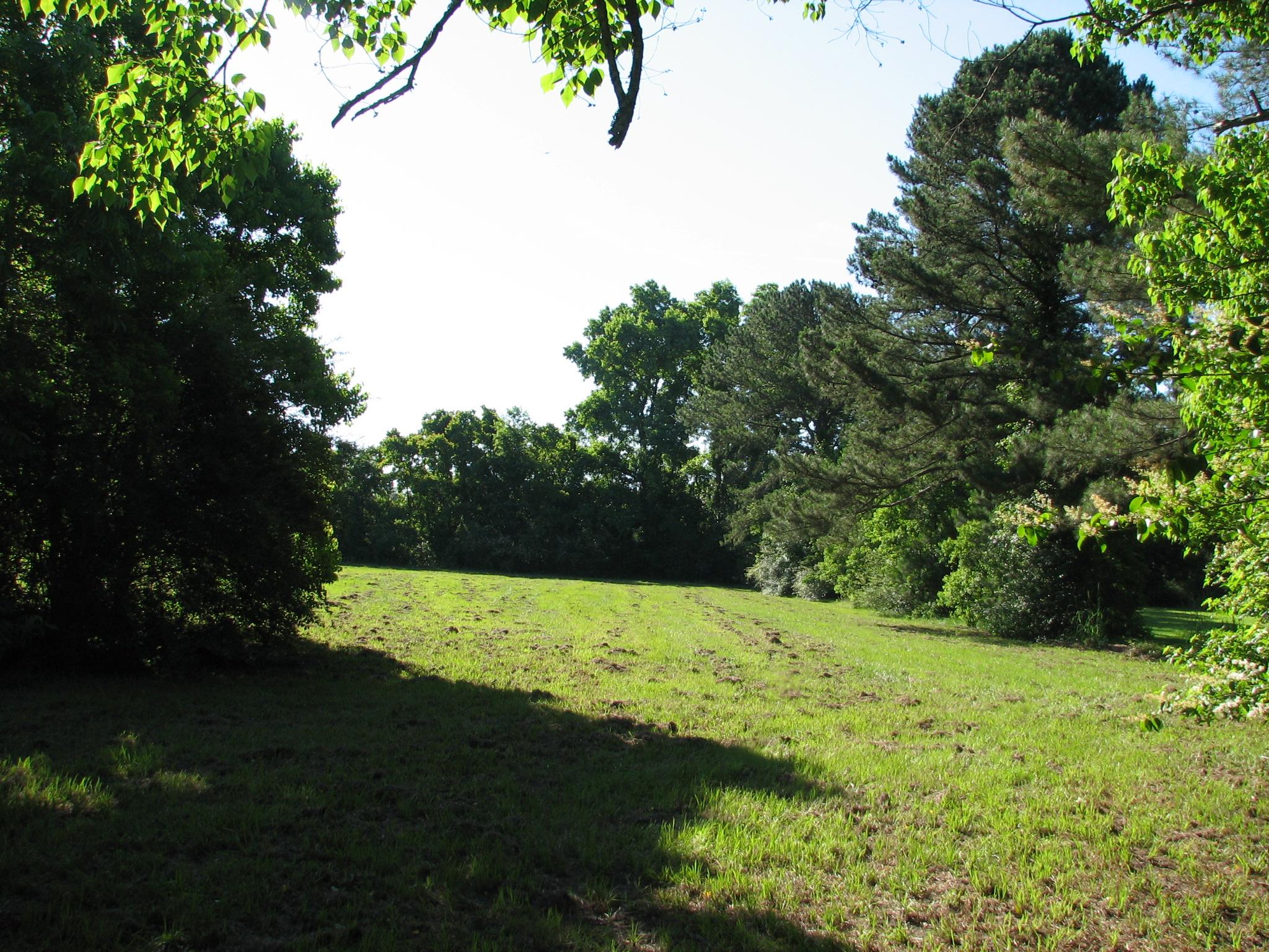 150 Raymond Rd, Pooler, GA 31322 photo 6