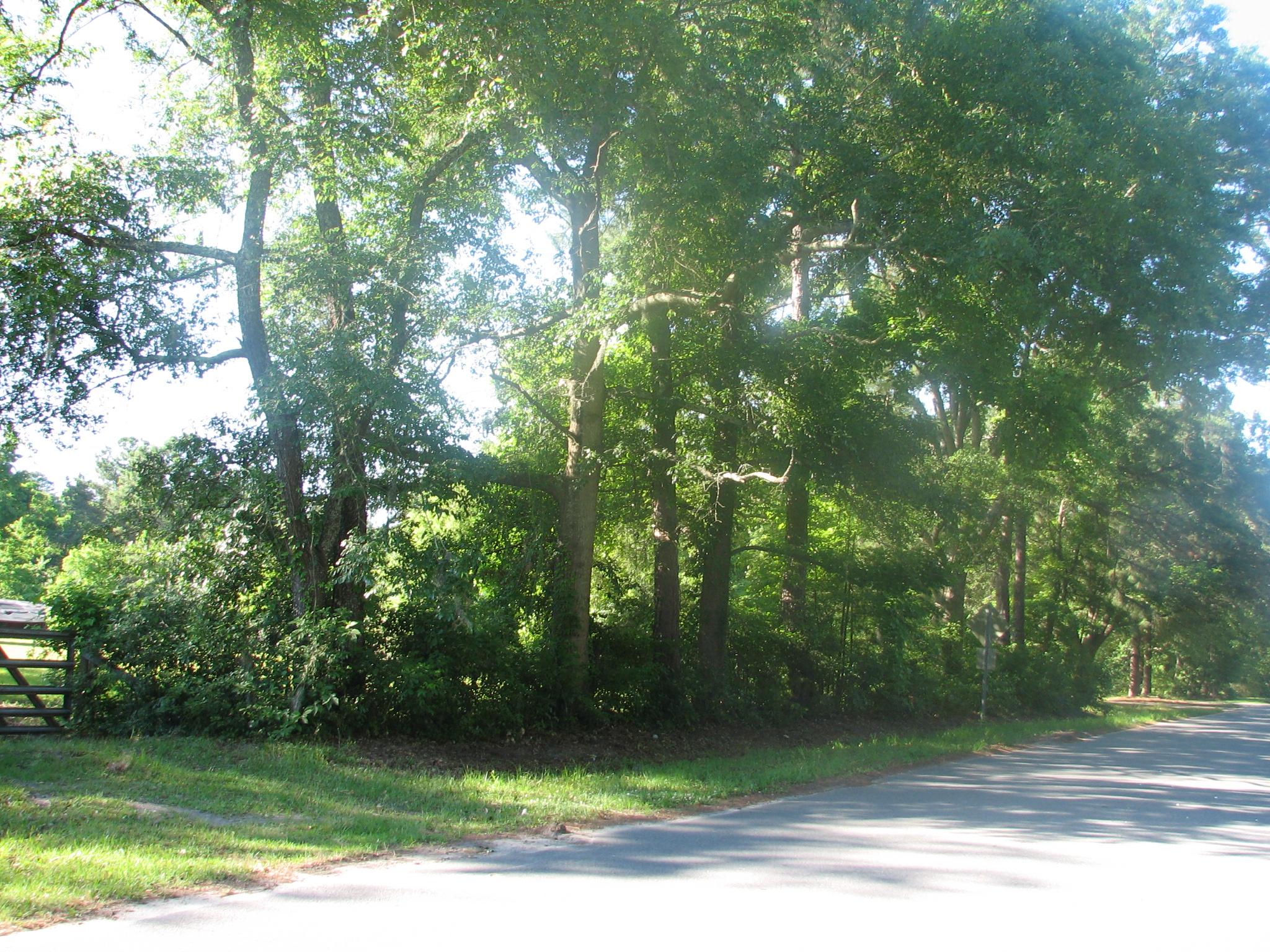 150 Raymond Rd, Pooler, GA 31322 photo 2