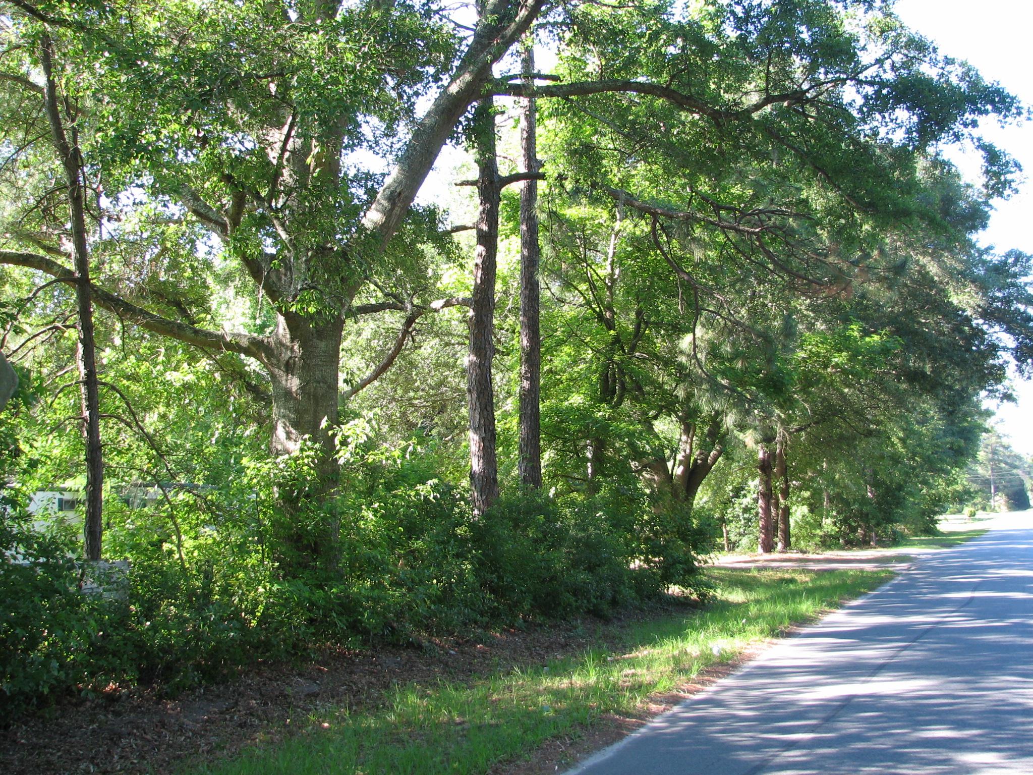 150 Raymond Rd, Pooler, GA 31322 photo 9