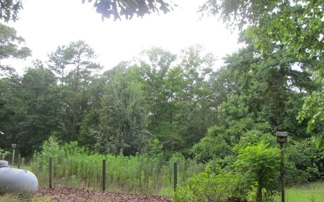 4076 Bartley Rd, West Point, GA 31833 photo 17