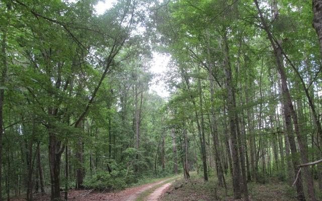 4076 Bartley Rd, West Point, GA 31833 photo 22