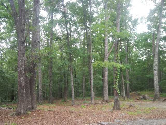 190 Grabs Rd, Canton, GA 30114 photo 4