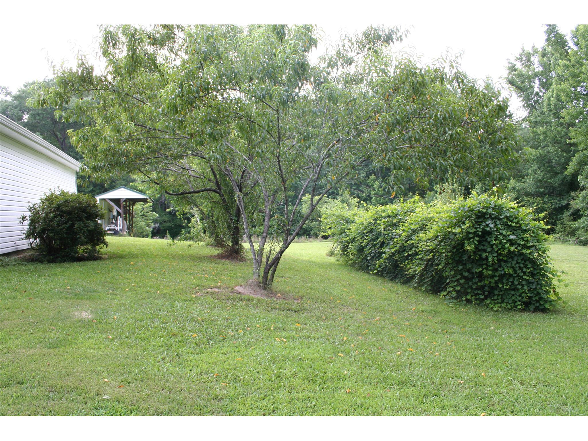70 Thomas Powers Rd, Newnan, GA 30263 photo 22