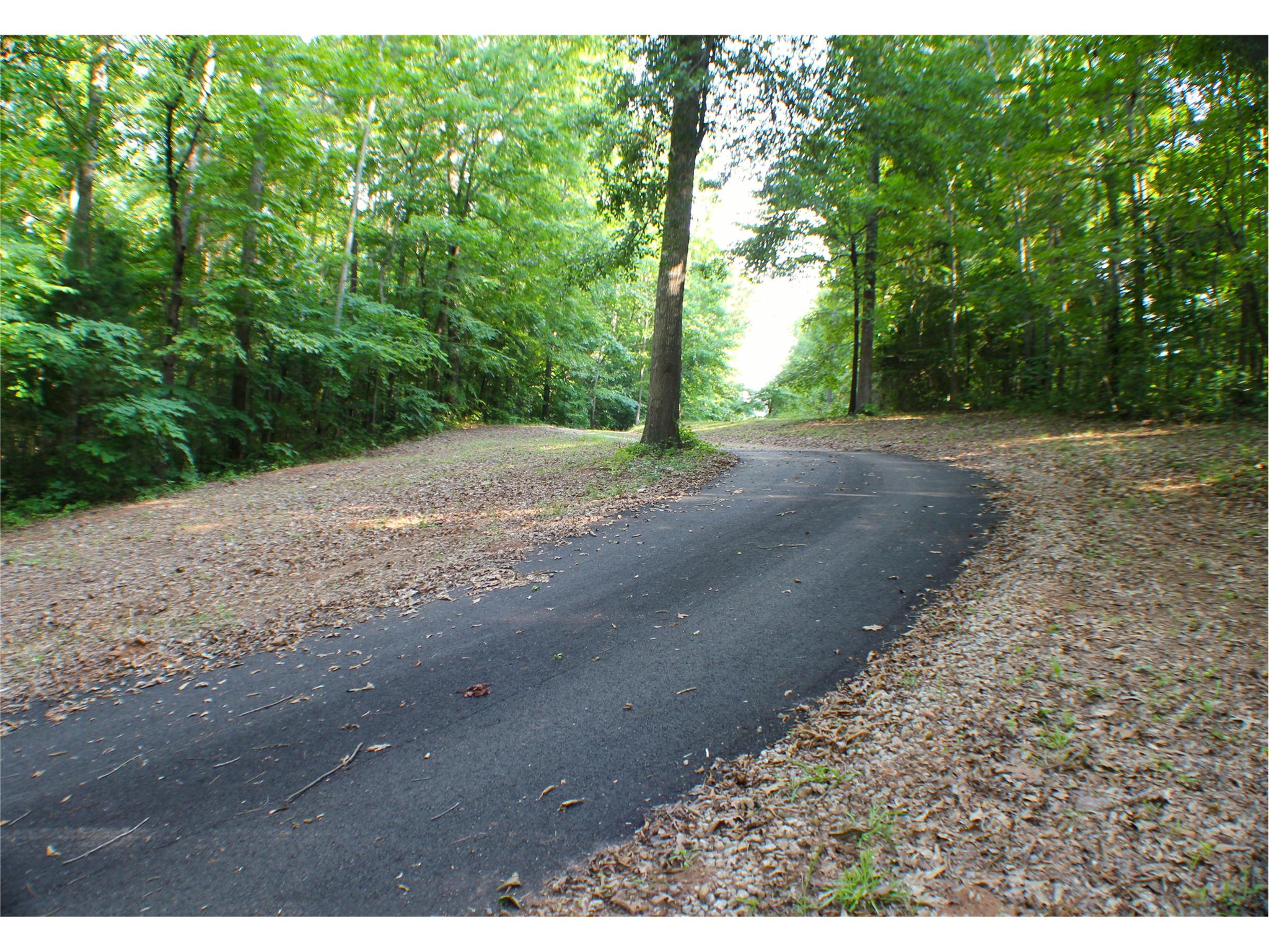 157 Boynton Rd, Hampton, GA 30228 photo 3